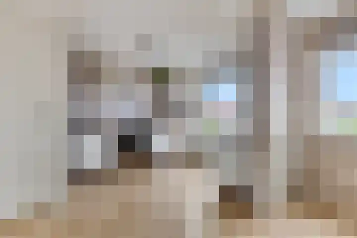 Schrassertstraat 21 Nijkerk thumbnail 29