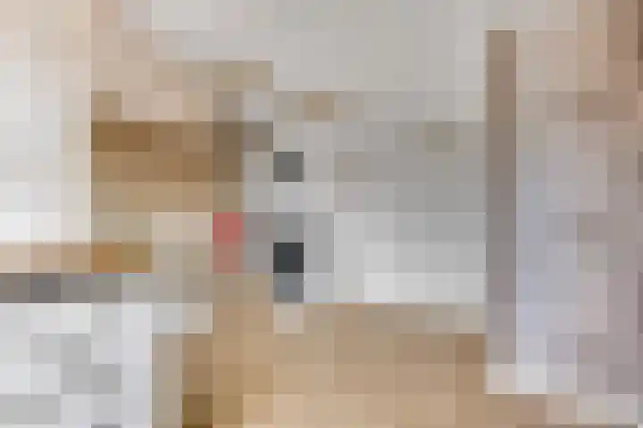 Schrassertstraat 21 Nijkerk thumbnail 30