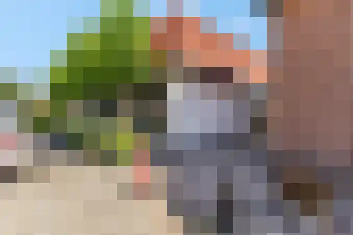 Schrassertstraat 21 Nijkerk thumbnail 44