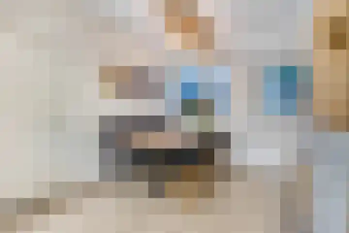 Schrassertstraat 21 Nijkerk thumbnail 7