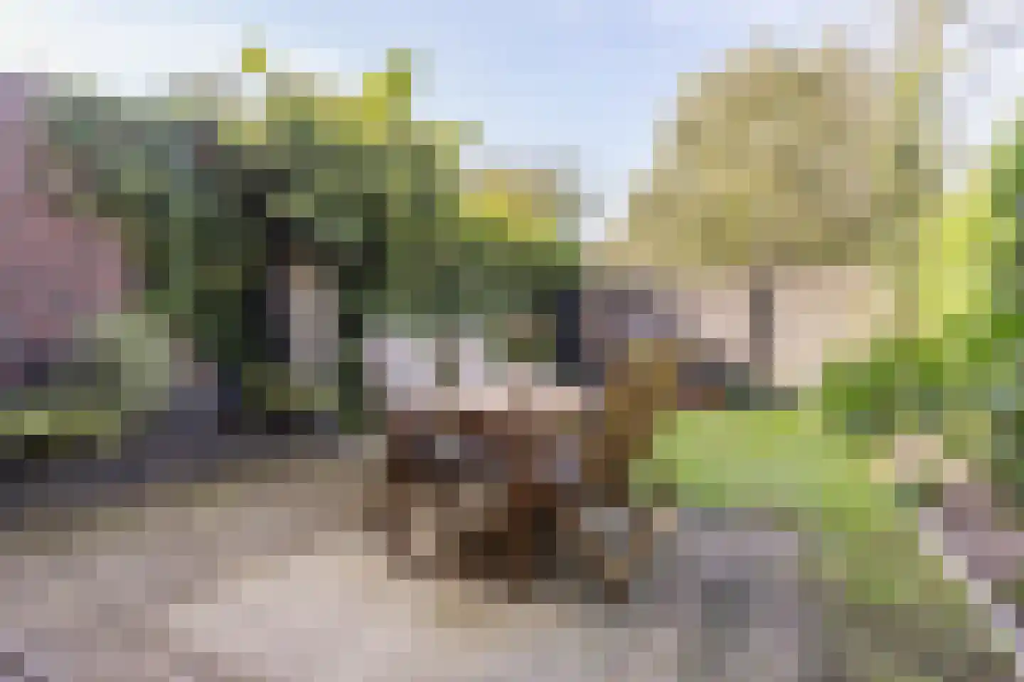 Schrassertstraat 3 Arnhem thumbnail 24