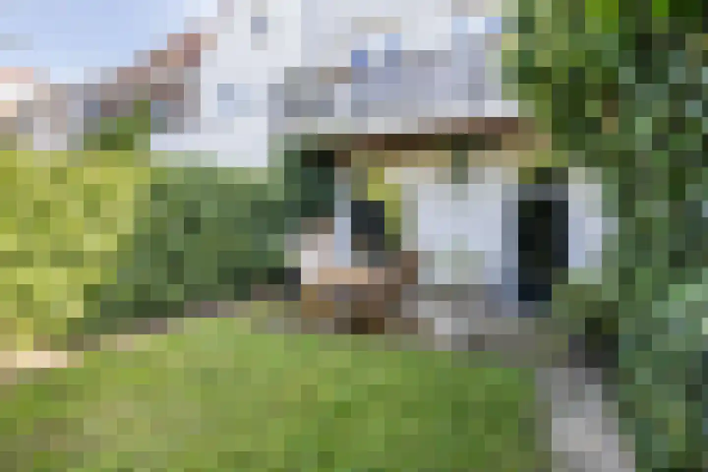 Schrassertstraat 3 Arnhem thumbnail 25