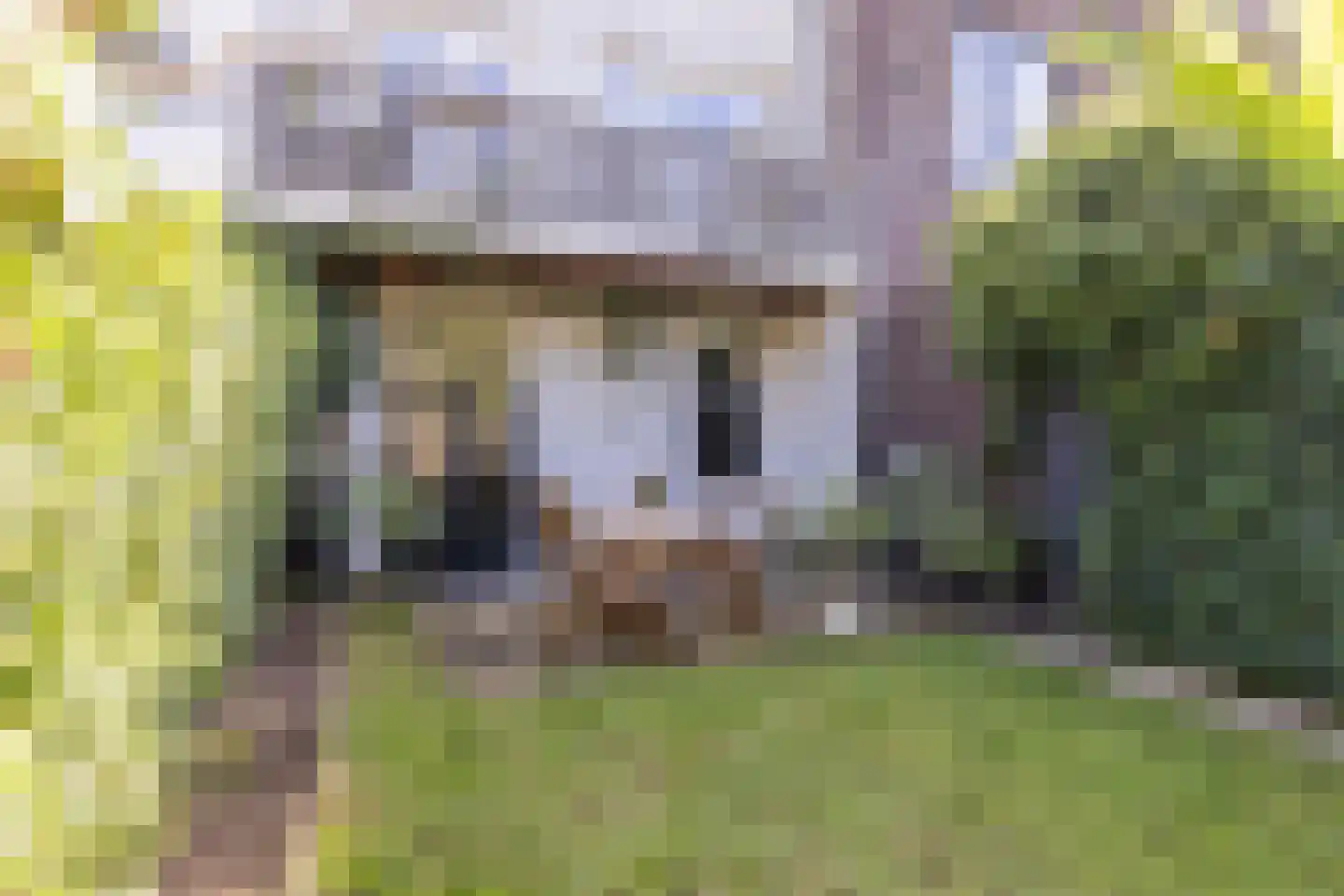 Schrassertstraat 3 Arnhem thumbnail 26