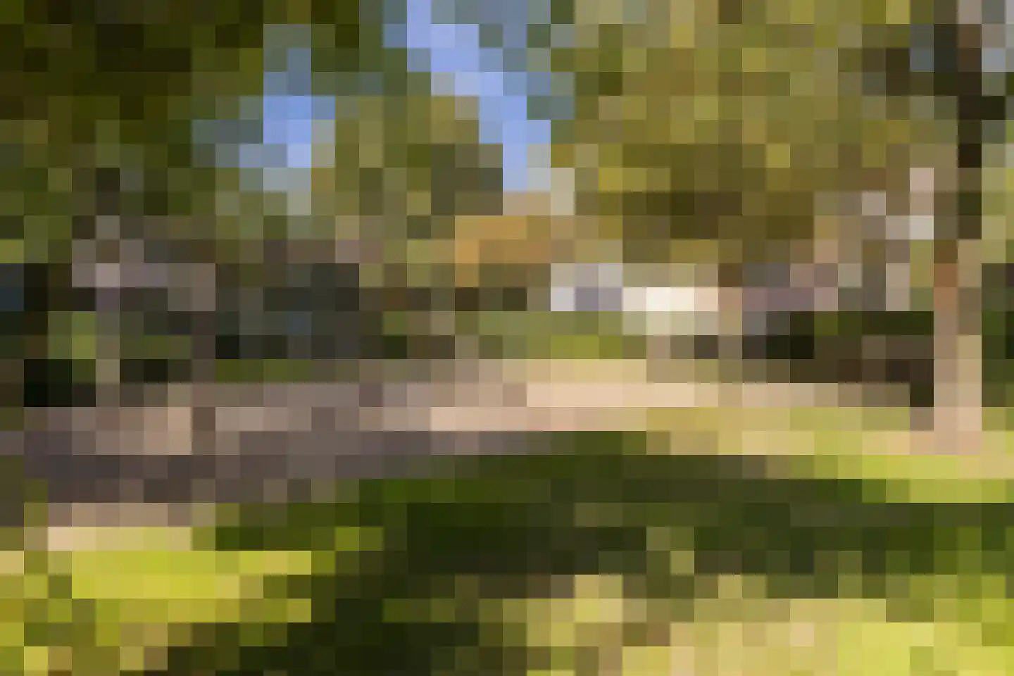 Schrassertstraat 3 Arnhem thumbnail 30
