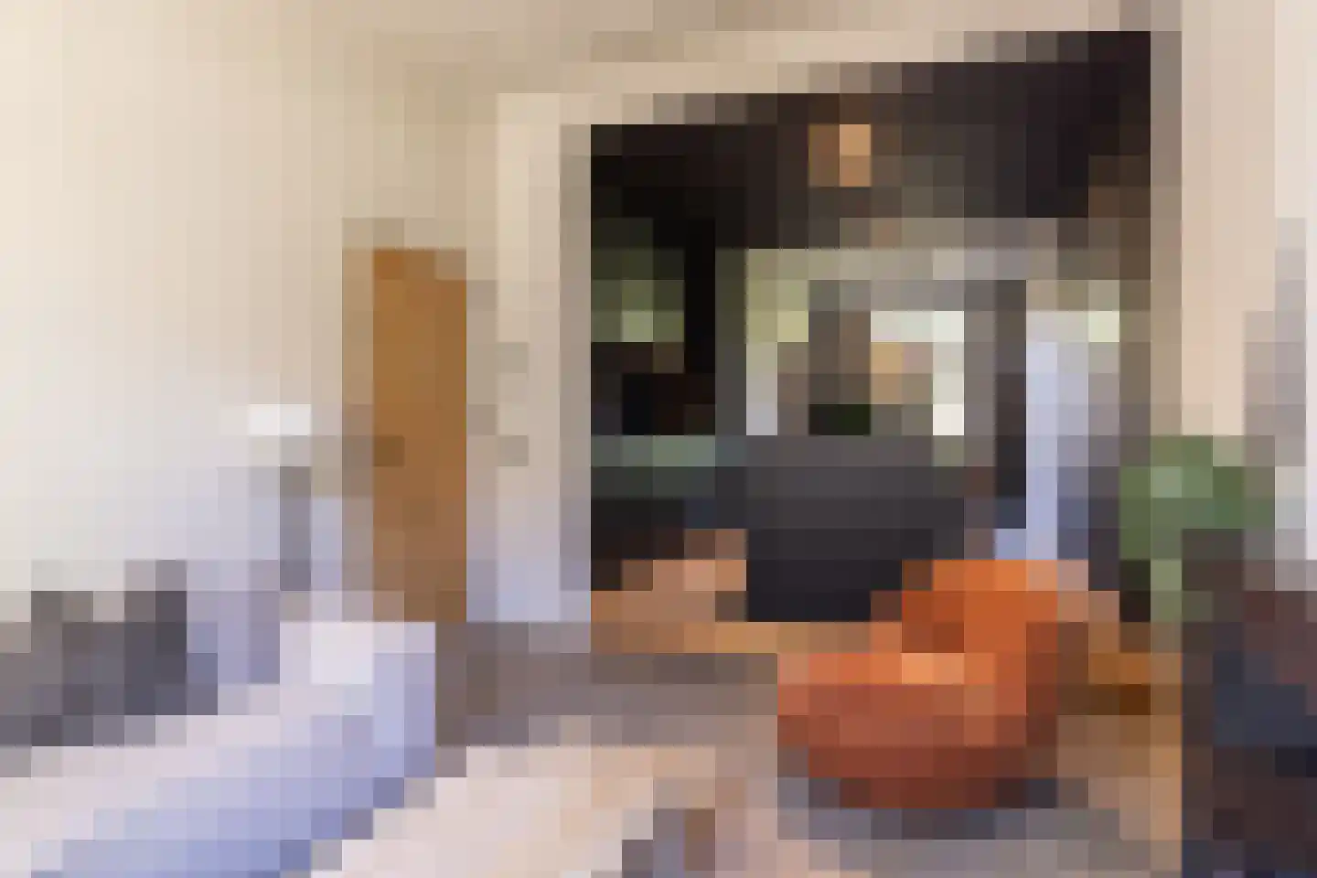 Schrassertstraat 3 Arnhem thumbnail 8