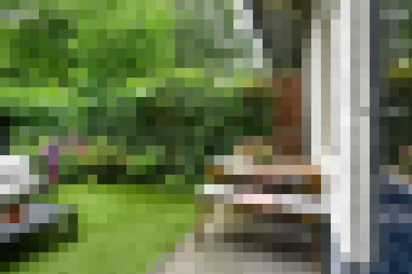 Schrassertstraat 74 Arnhem thumbnail 32