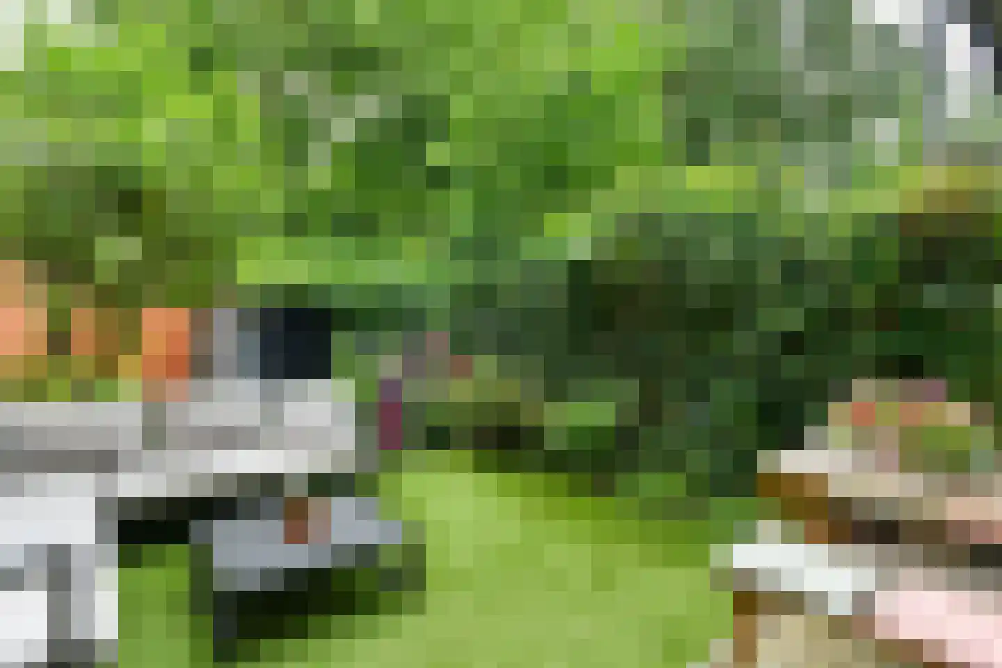 Schrassertstraat 74 Arnhem thumbnail 33