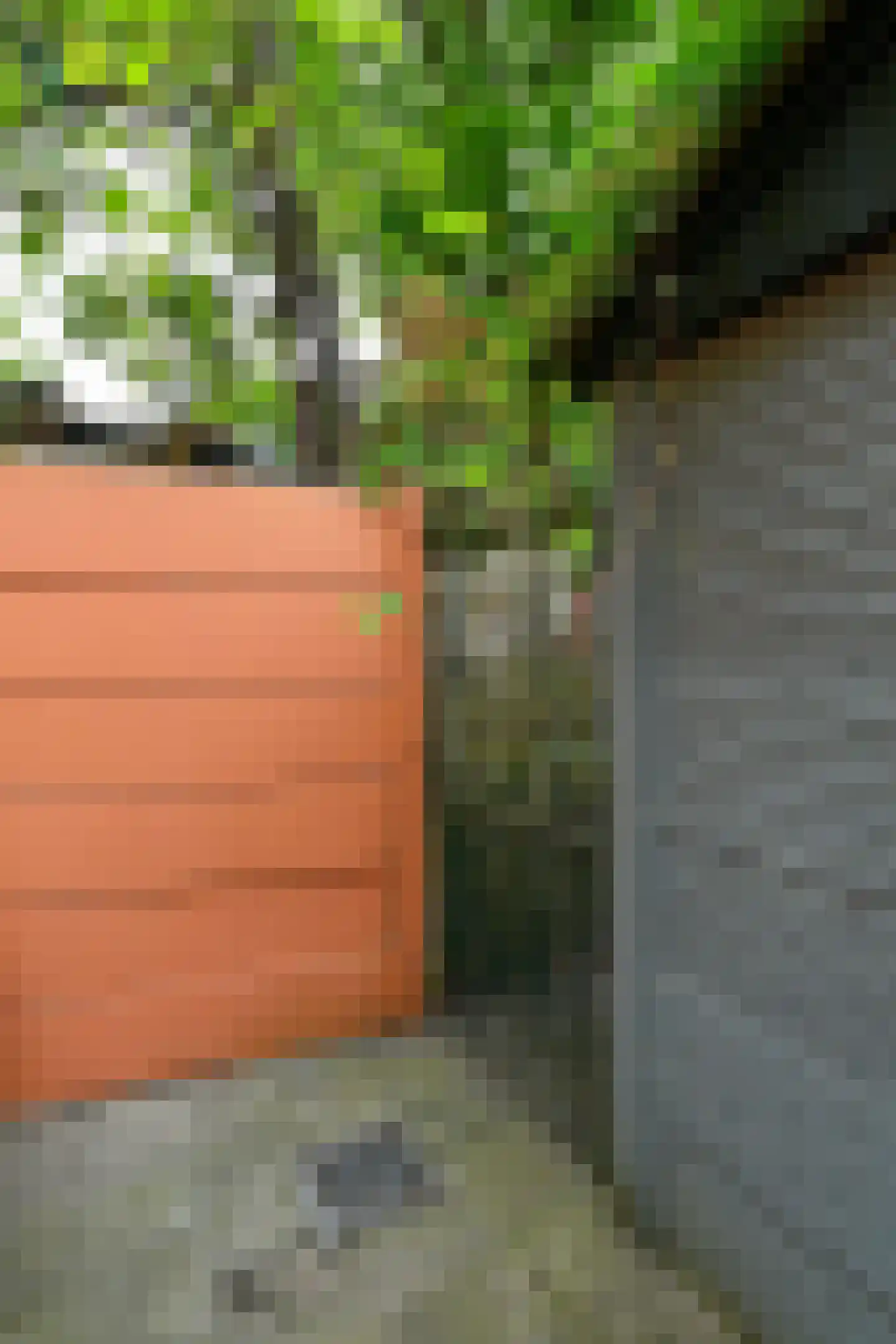 Schrassertstraat 74 Arnhem thumbnail 37