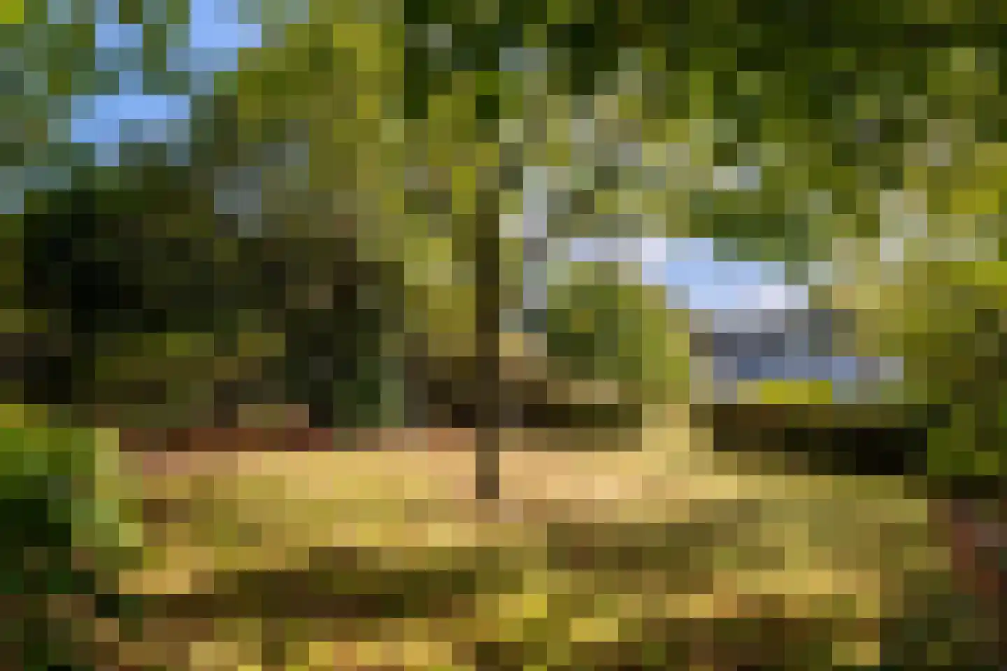 Schrauwenhof 16 A Breda thumbnail 31