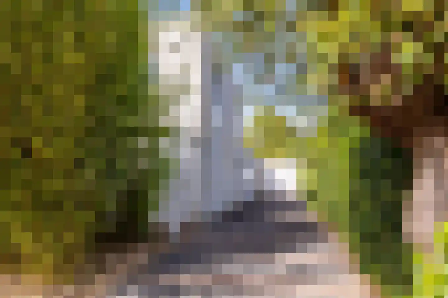 Schrauwenhof 16 A Breda thumbnail 5