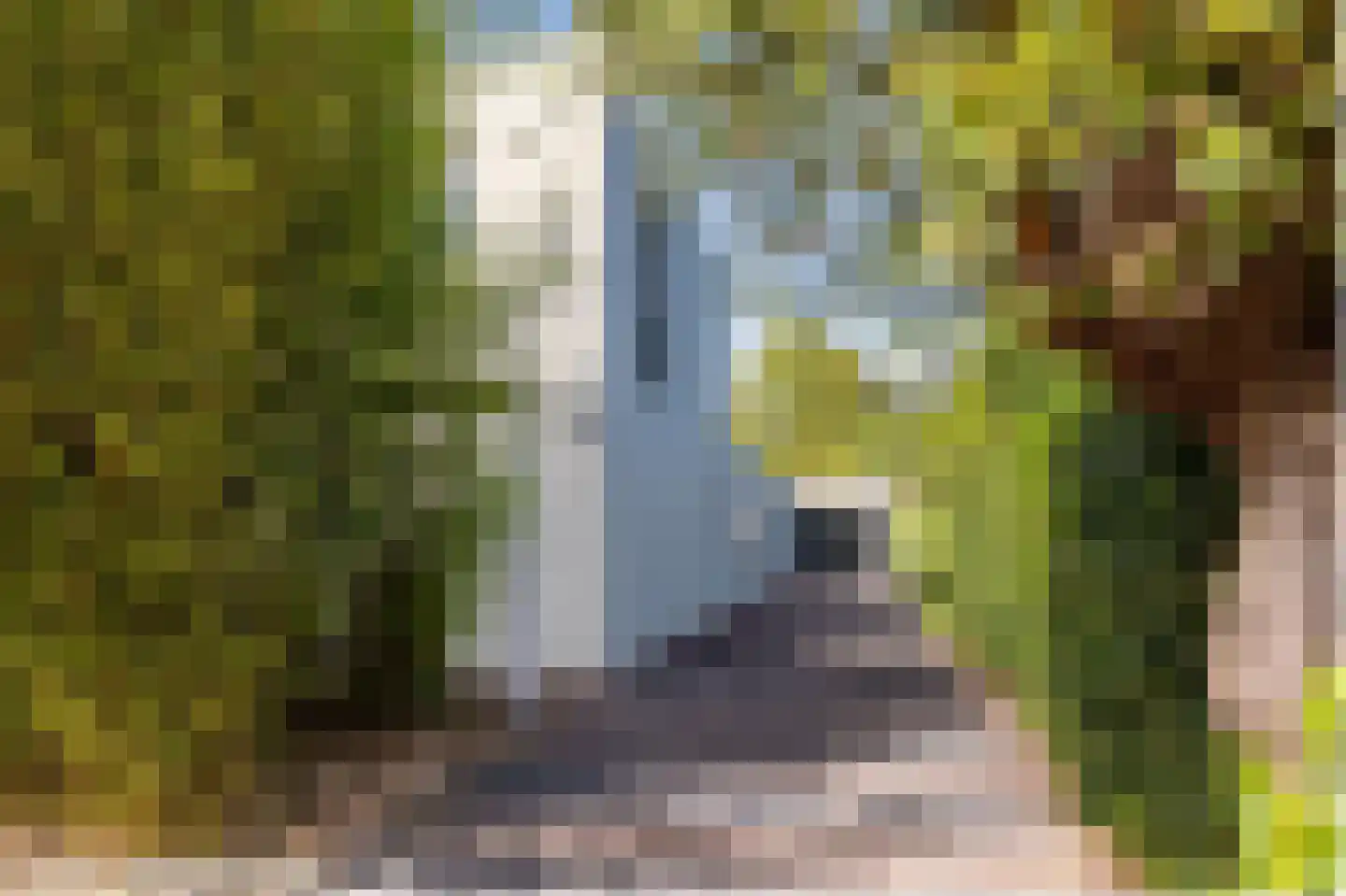 Schrauwenhof 16 A Breda thumbnail 6