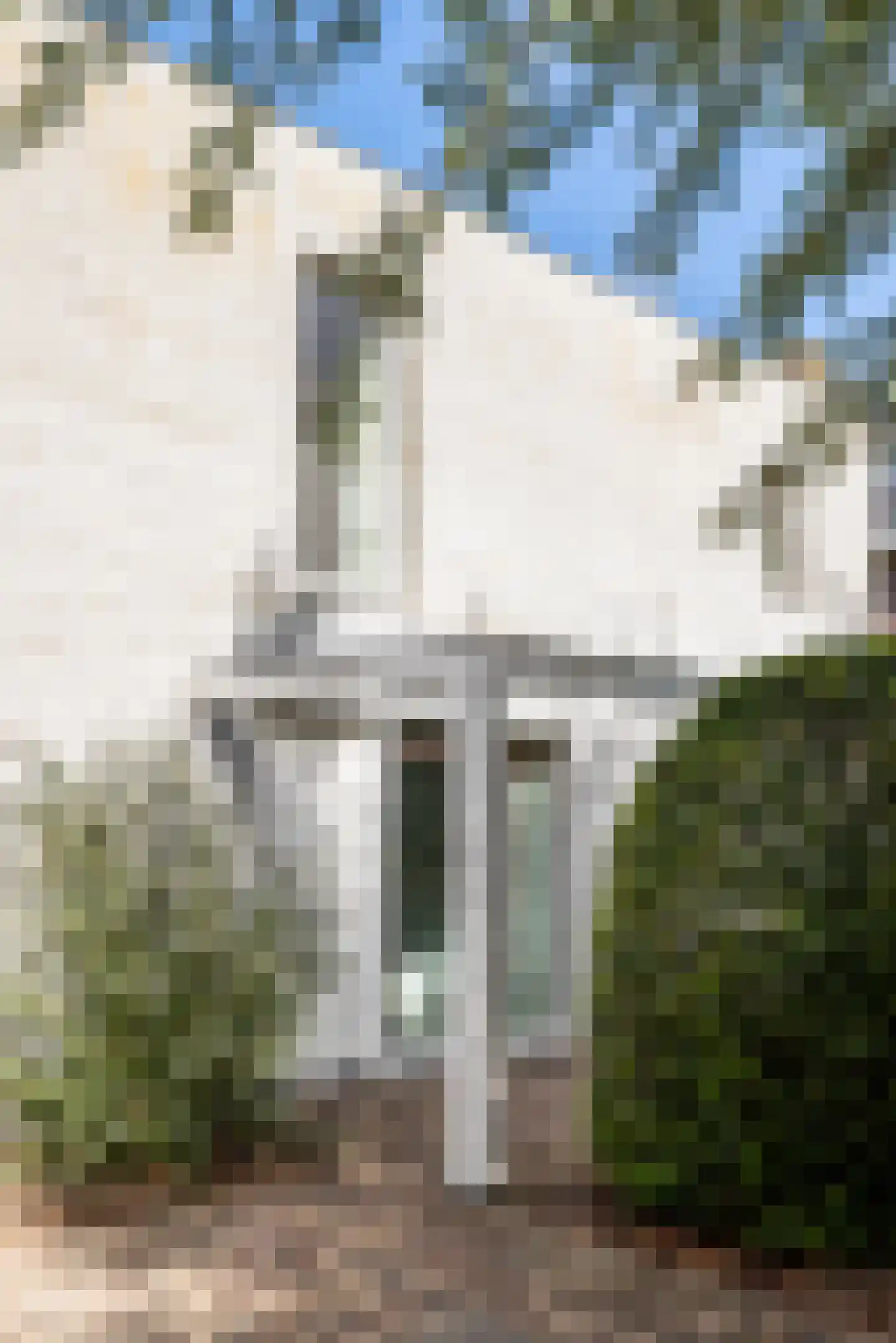 Schrauwenhof 16 A Breda thumbnail 9