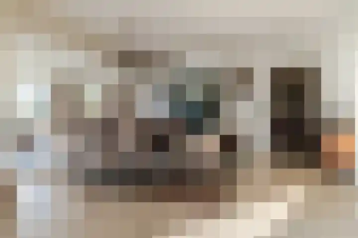 Schrauwenhof 5 Breda thumbnail 12