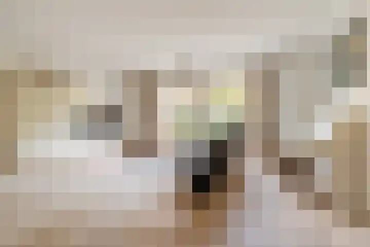 Schrauwenhof 5 Breda thumbnail 14