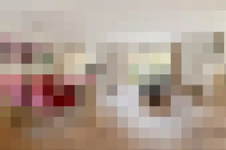 Schrauwenhof 5 Breda thumbnail 15