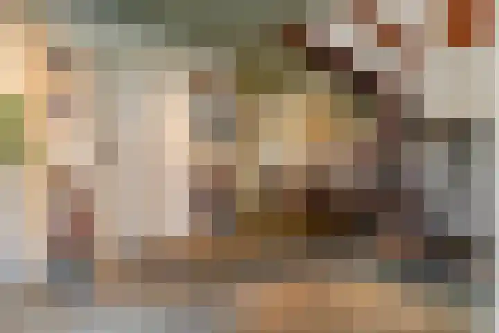 Schrauwenhof 5 Breda thumbnail 19