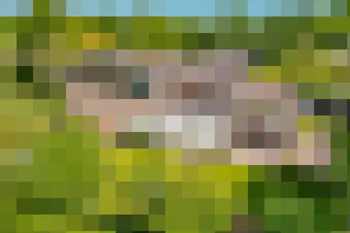 Schrauwenhof 5 Breda thumbnail 30