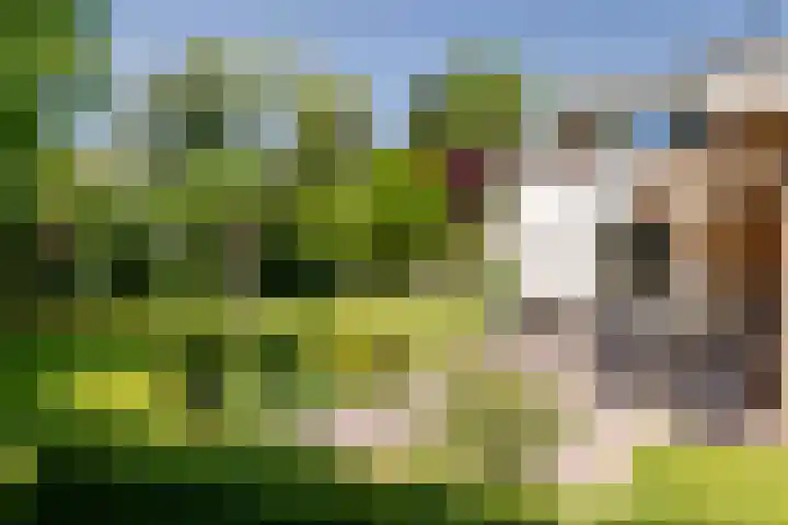 Schrauwenhof 5 Breda thumbnail 32