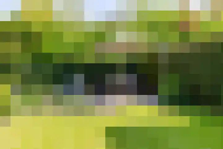 Schrauwenhof 5 Breda thumbnail 33