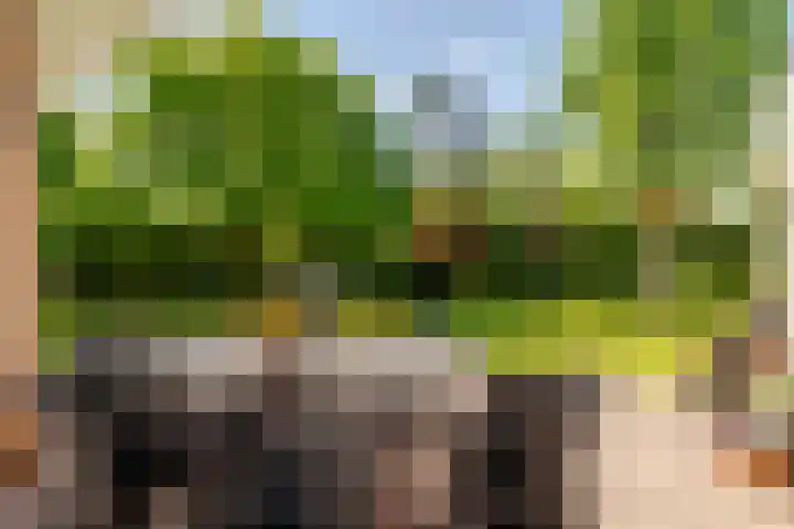 Schrauwenhof 5 Breda thumbnail 34