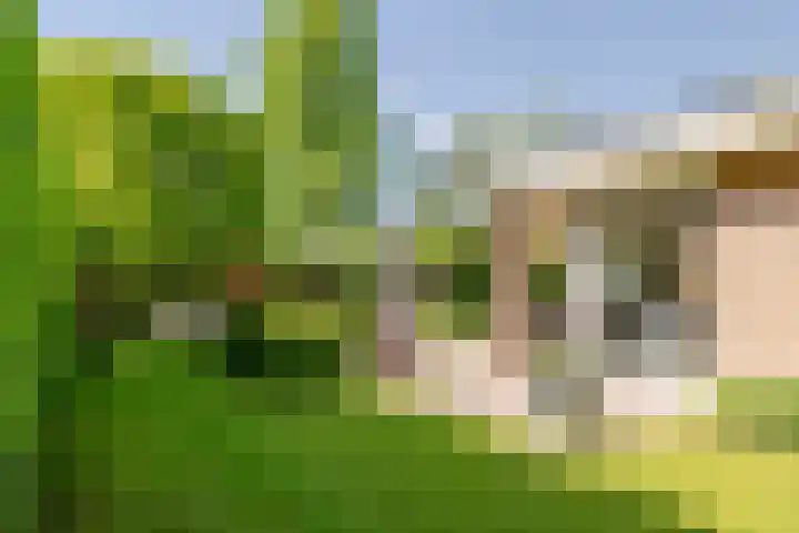 Schrauwenhof 5 Breda thumbnail 35