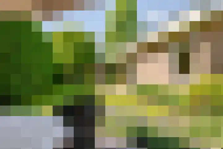 Schrauwenhof 5 Breda thumbnail 37
