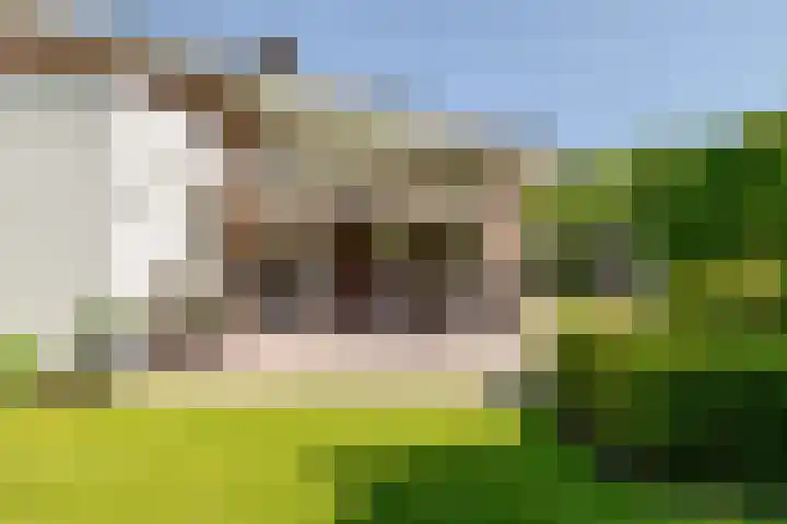 Schrauwenhof 5 Breda thumbnail 38
