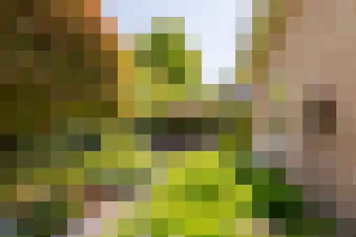 Schrauwenhof 5 Breda thumbnail 39