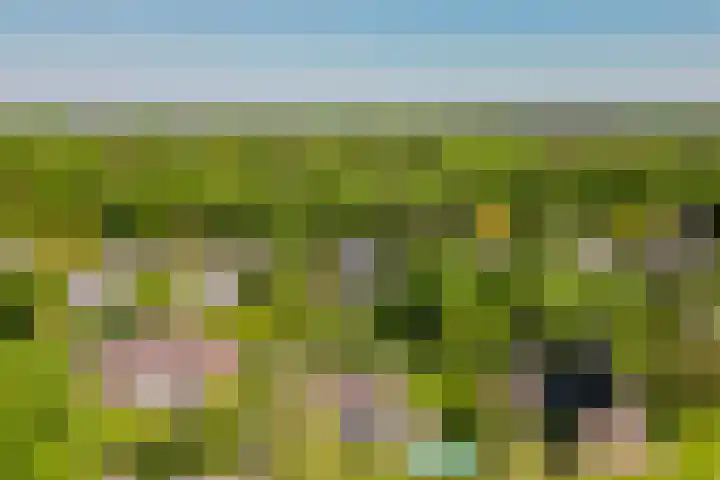Schrauwenhof 5 Breda thumbnail 4