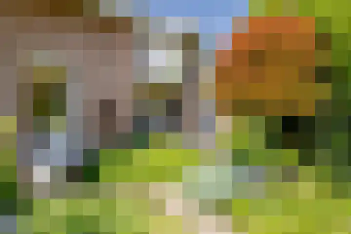 Schrauwenhof 5 Breda thumbnail 40