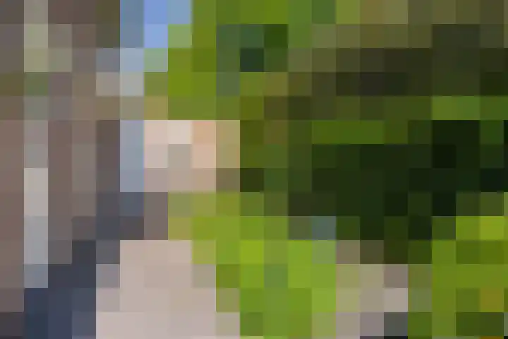 Schrauwenhof 5 Breda thumbnail 42