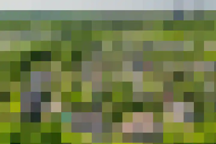 Schrauwenhof 5 Breda thumbnail 43