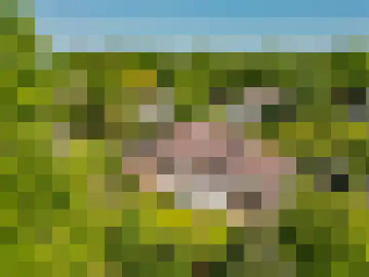 Schrauwenhof 5 Breda thumbnail 44