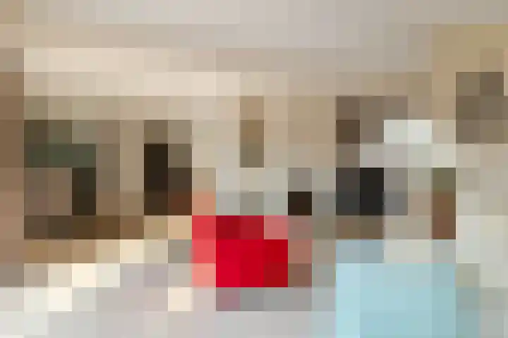Schrauwenhof 5 Breda thumbnail 8