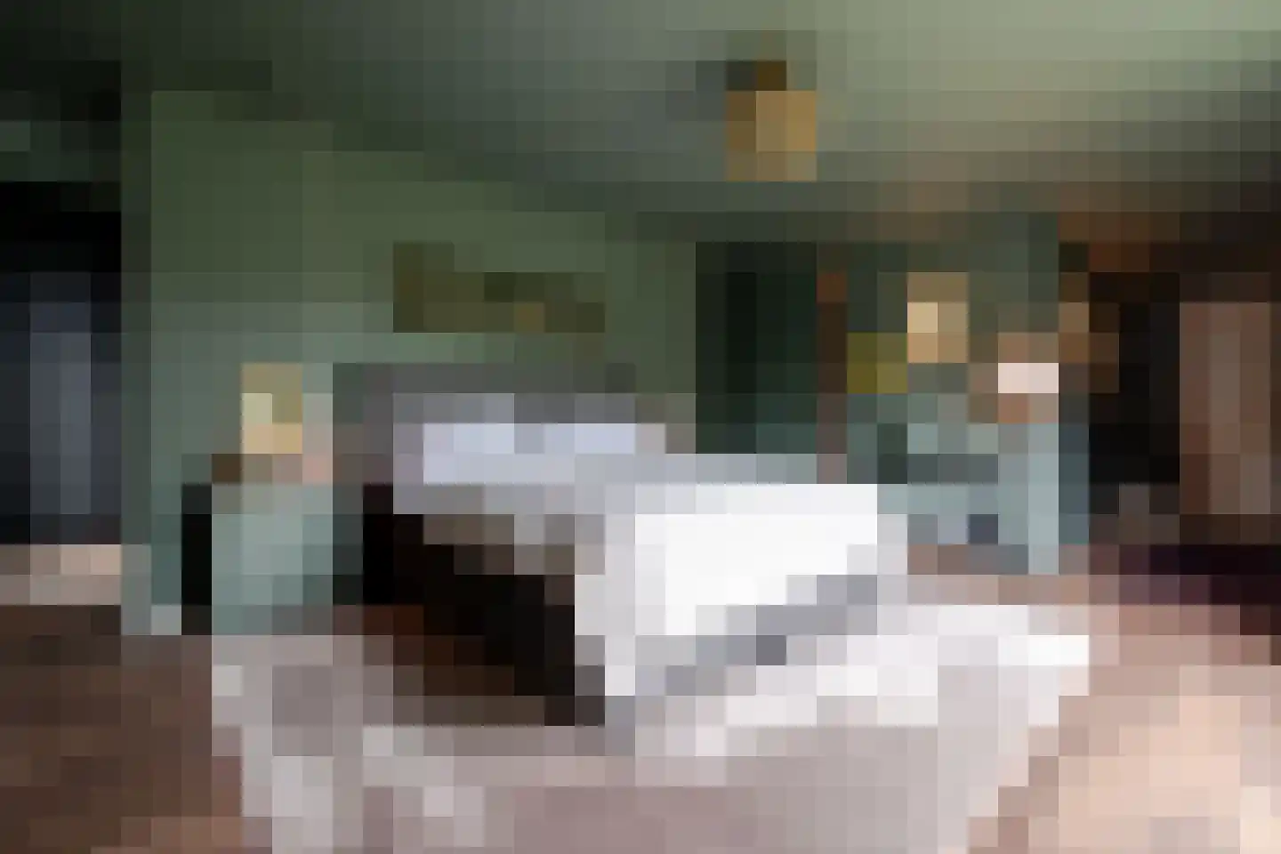 Schrauwenhof 9 Breda thumbnail 11