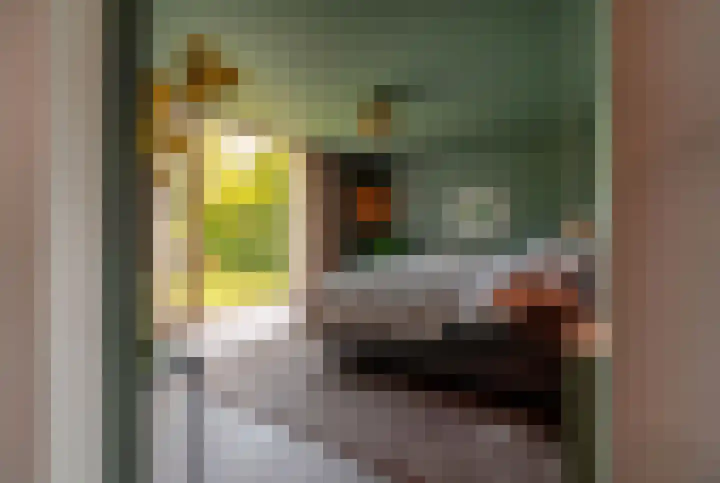 Schrauwenhof 9 Breda thumbnail 12