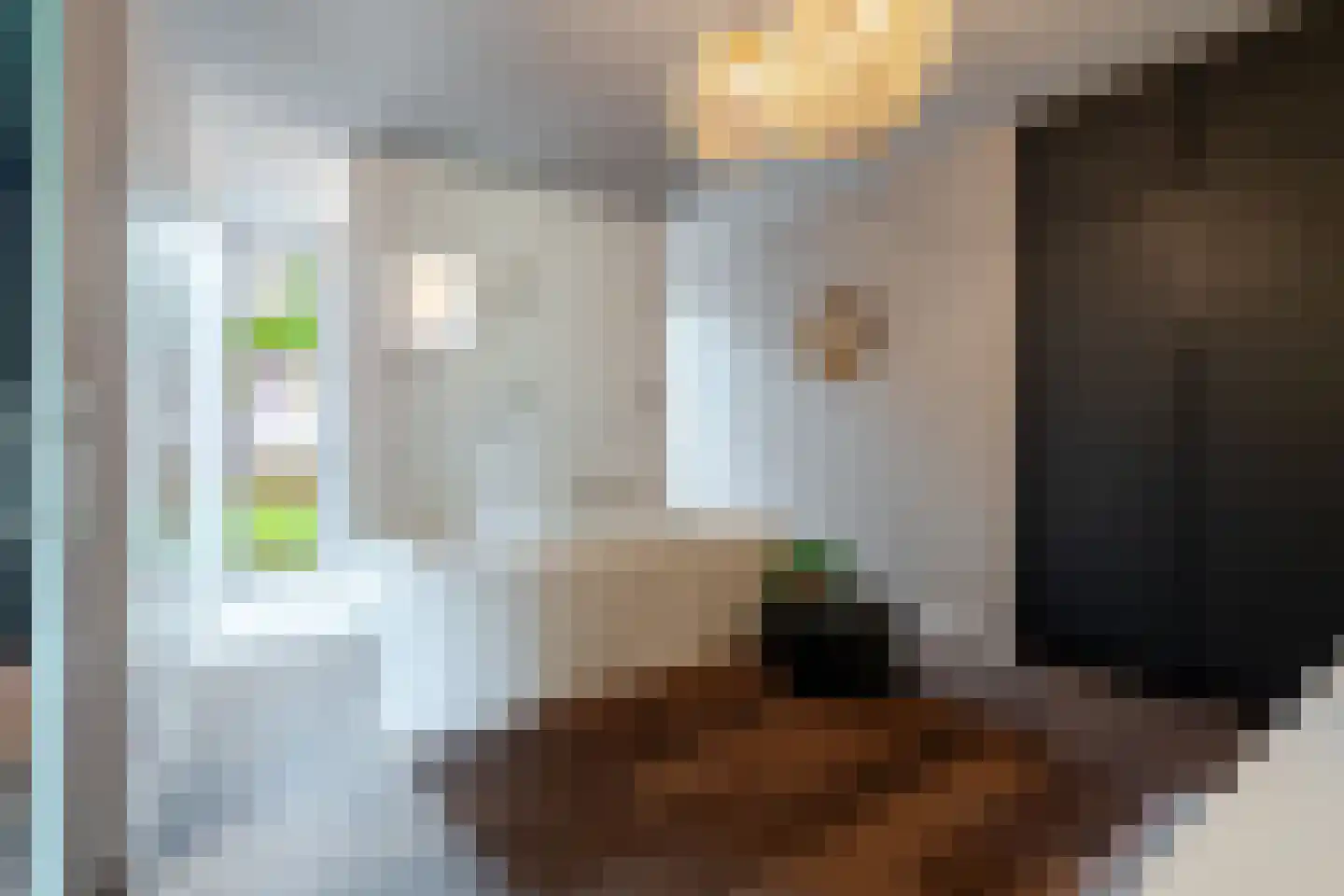 Schrauwenhof 9 Breda thumbnail 14