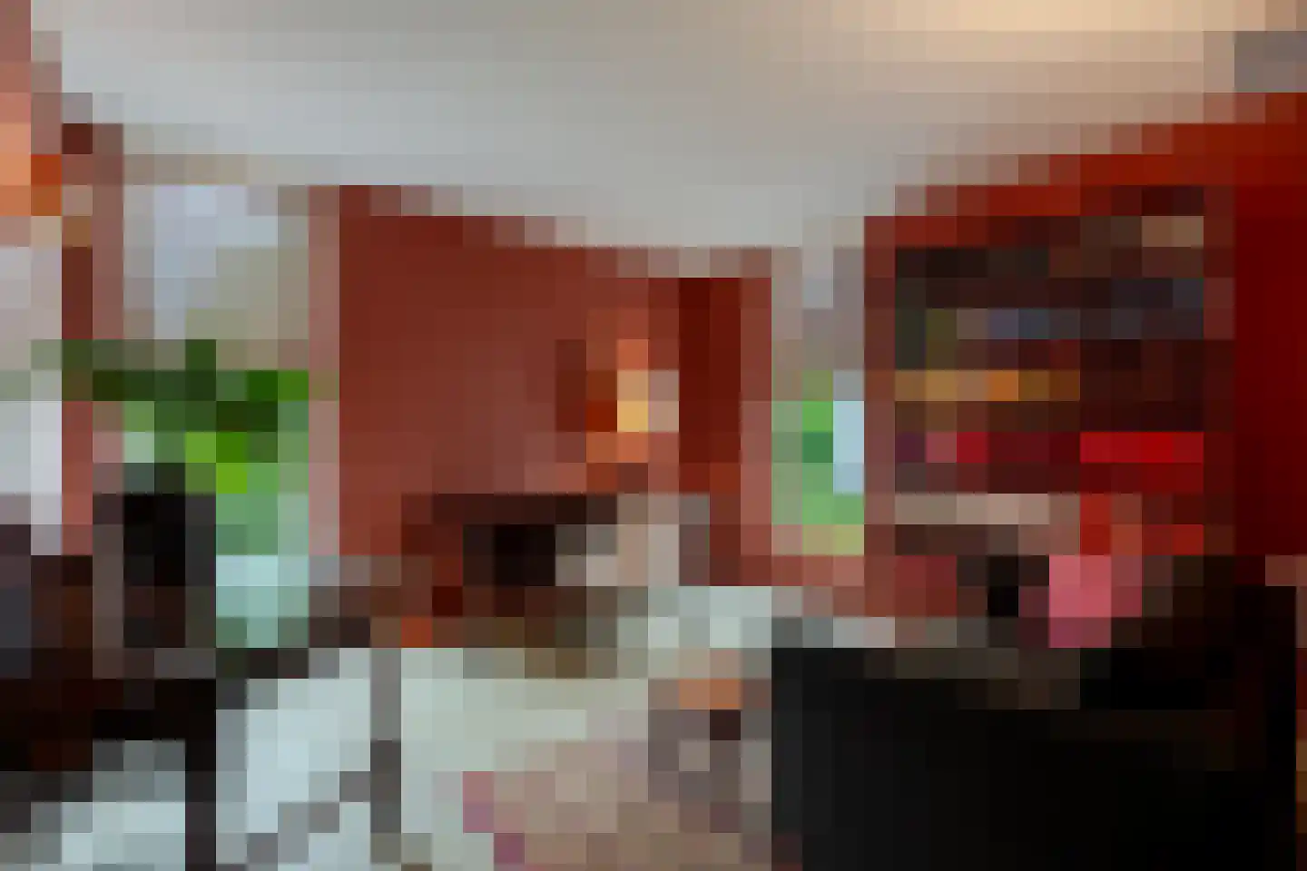 Schrauwenhof 9 Breda thumbnail 16