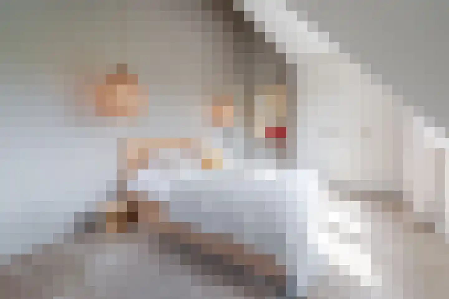 Schrauwenhof 9 Breda thumbnail 18