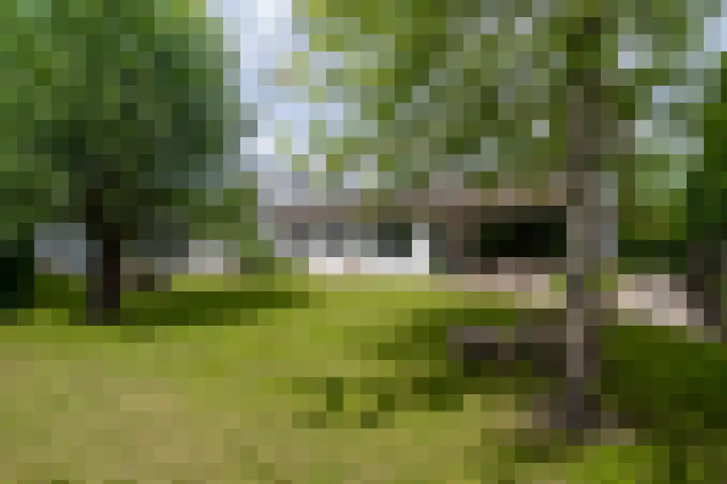 Schrauwenhof 9 Breda thumbnail 20