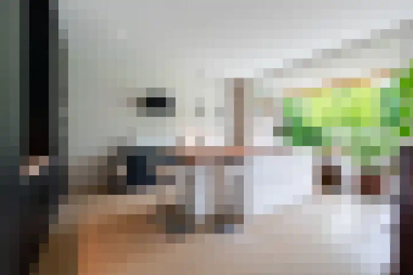 Schrauwenhof 9 Breda thumbnail 9