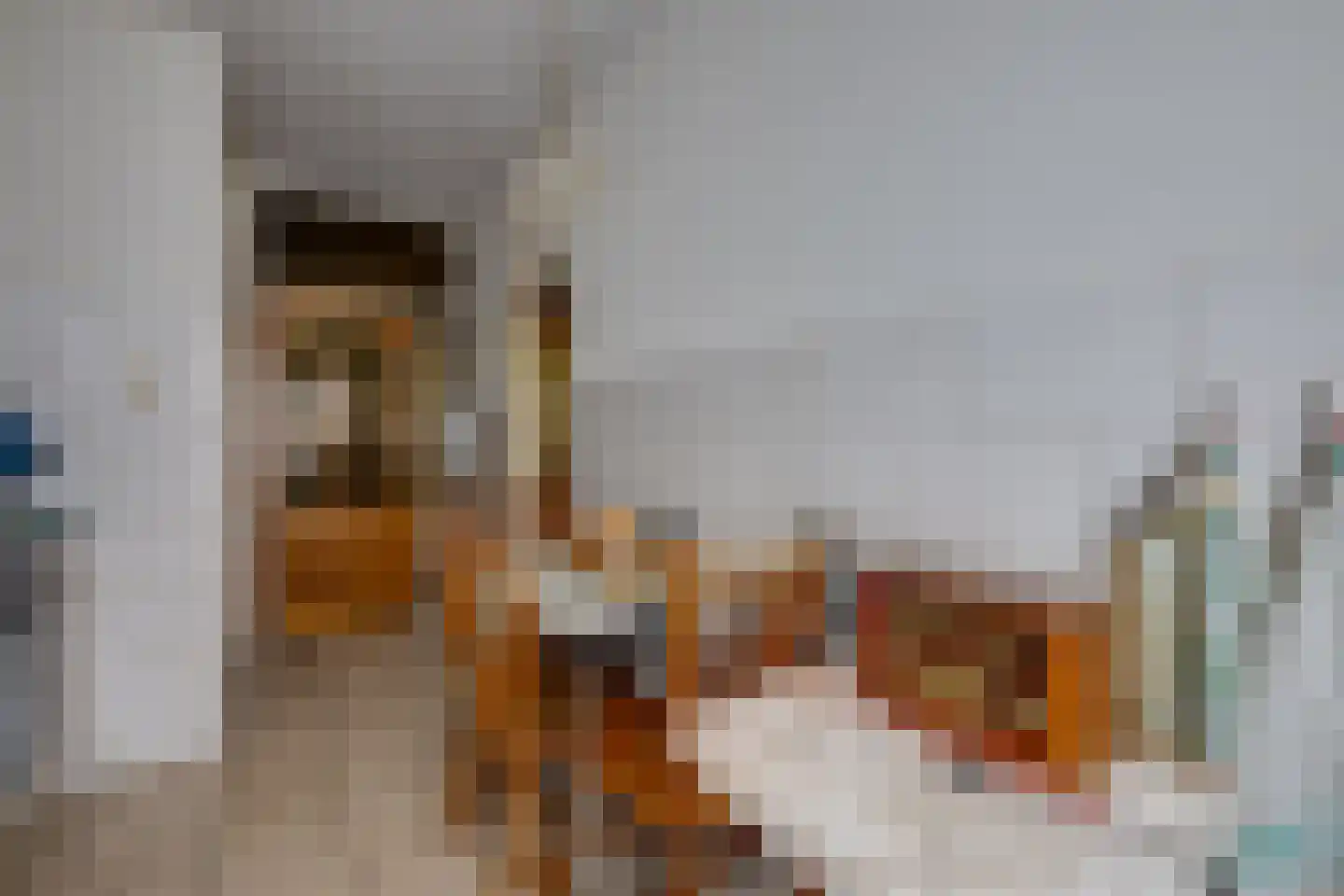 Schrauwenstraat 22 Etten-Leur thumbnail 12