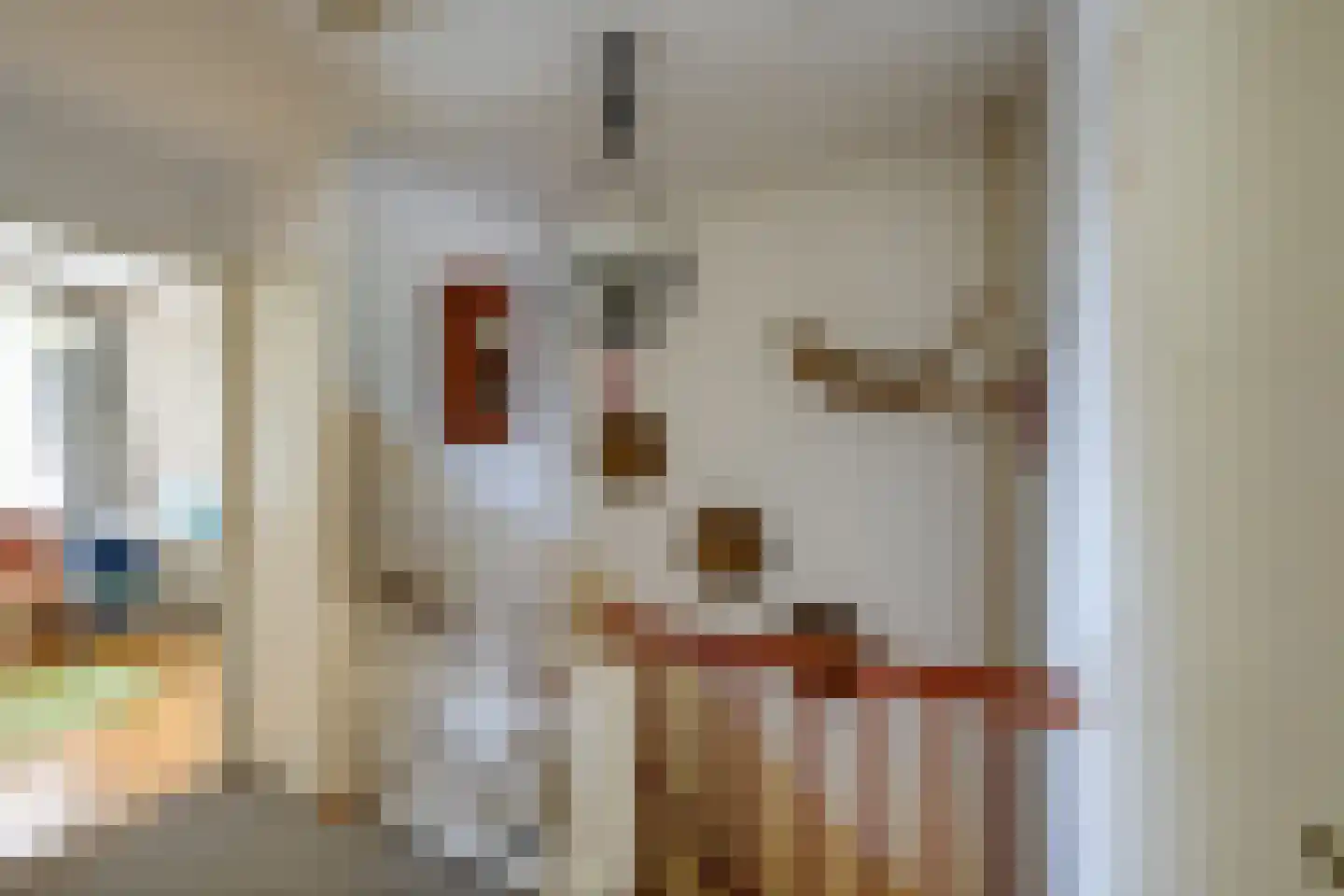 Schrauwenstraat 22 Etten-Leur thumbnail 14