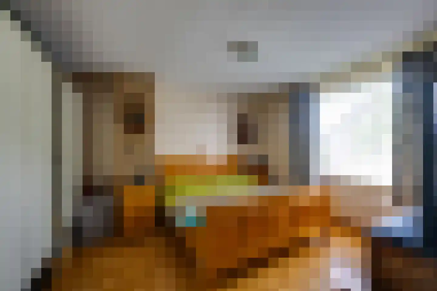 Schrauwenstraat 22 Etten-Leur thumbnail 15