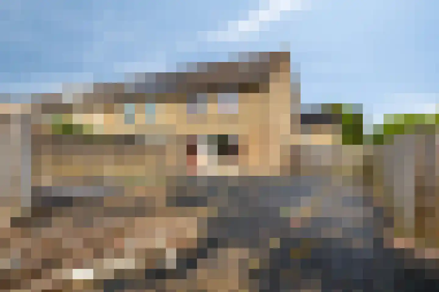Schrauwenstraat 36 Etten-Leur thumbnail 31