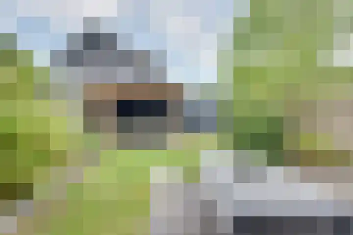 Schrepel 22 's-Hertogenbosch thumbnail 26