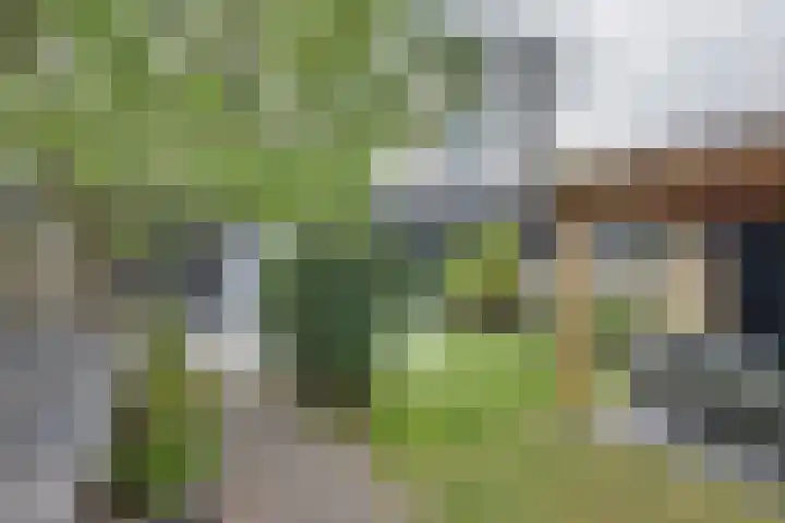 Schrepel 22 's-Hertogenbosch thumbnail 29