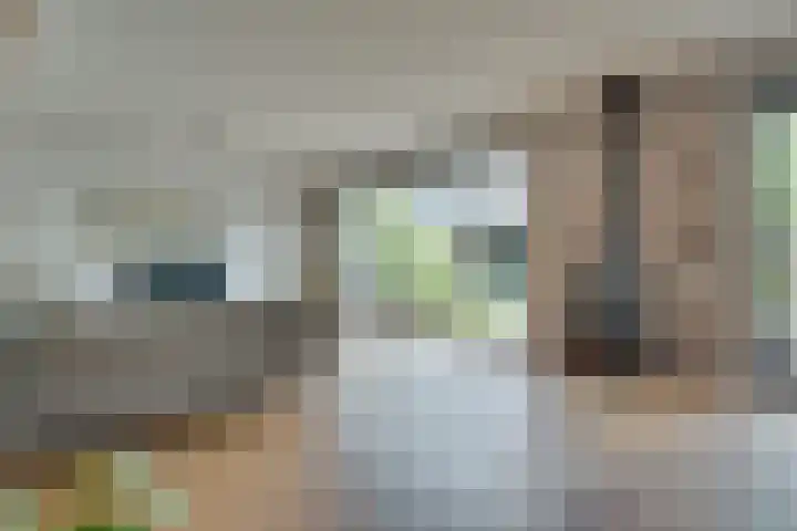 Schrepel 22 's-Hertogenbosch thumbnail 7