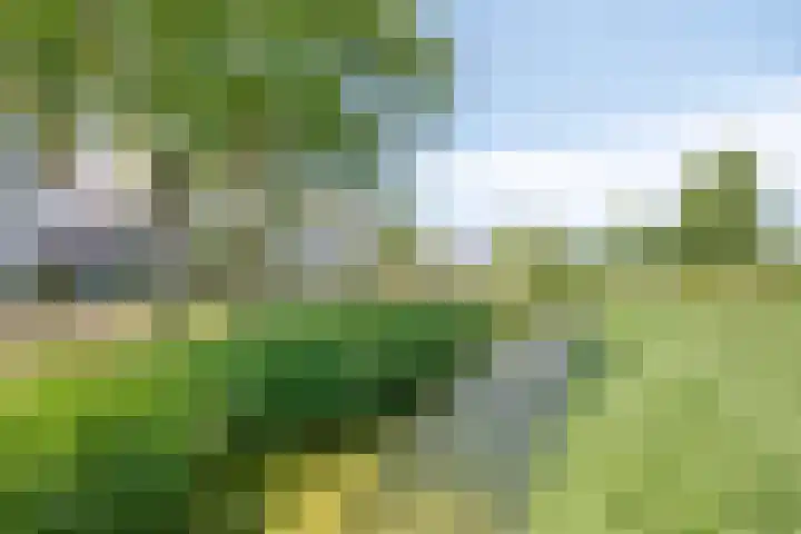 Schrepel 38 's-Hertogenbosch thumbnail 32