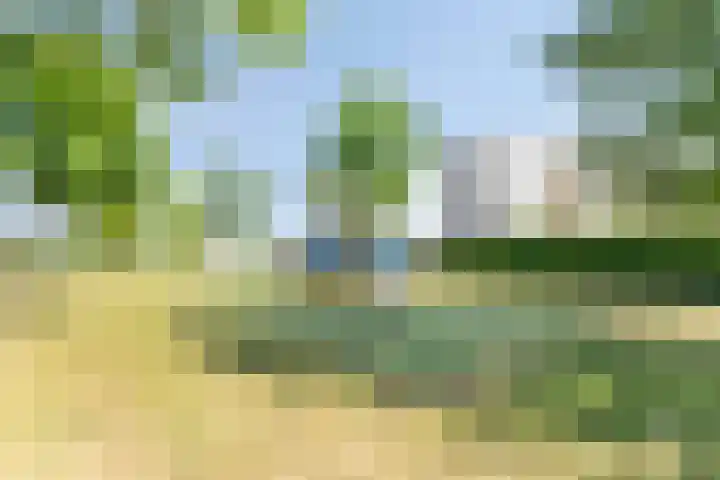 Schrepel 38 's-Hertogenbosch thumbnail 34